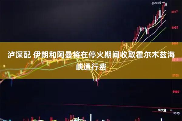 泸深配 伊朗和阿曼将在停火期间收取霍尔木兹海峡通行费