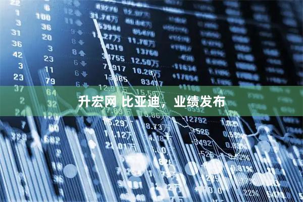 升宏网 比亚迪，业绩发布