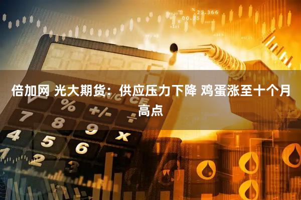 倍加网 光大期货：供应压力下降 鸡蛋涨至十个月高点