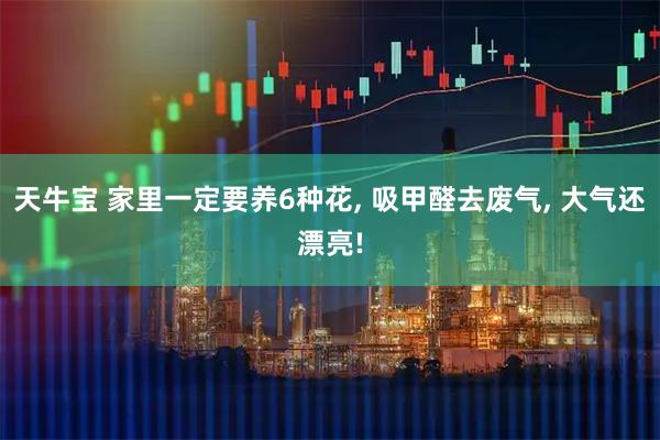 天牛宝 家里一定要养6种花, 吸甲醛去废气, 大气还漂亮!